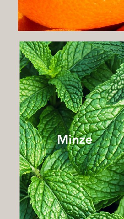 Minze