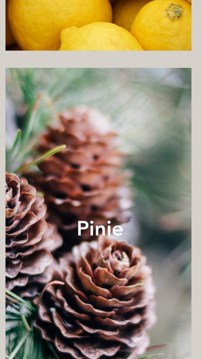 Pinie